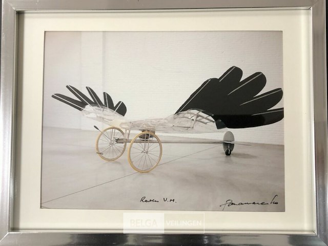 Raven matrix - afbeelding 2 van  2