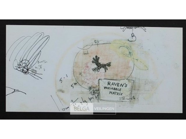 Raven’s variable matrix - afbeelding 1 van  1