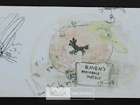 Raven’s variable matrix