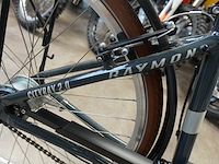 Raymon cityray 2.0 fiets - afbeelding 6 van  11