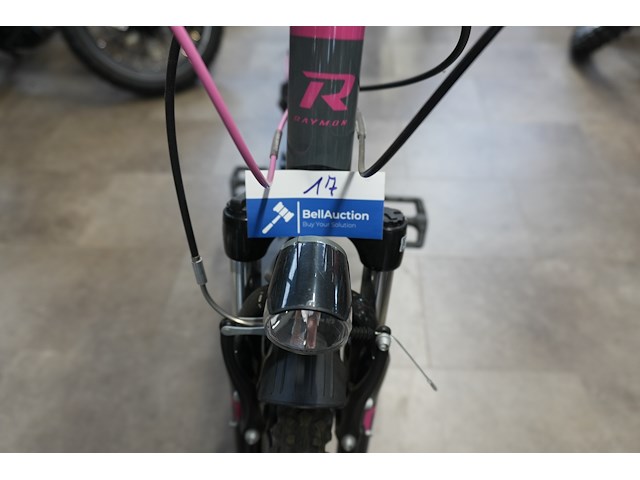 Raymon fourray 1.0 mountainbike, kinderfiets - afbeelding 5 van  13