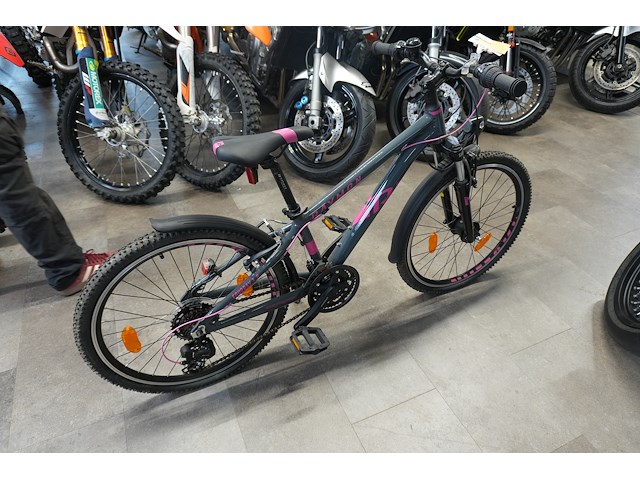Raymon fourray 1.0 mountainbike, kinderfiets - afbeelding 1 van  13