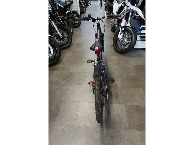 Raymon fourray 1.0 mountainbike, kinderfiets - afbeelding 7 van  13