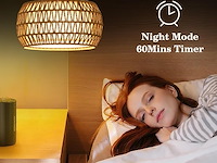 Rayofly gouden booglamp - afbeelding 3 van  6