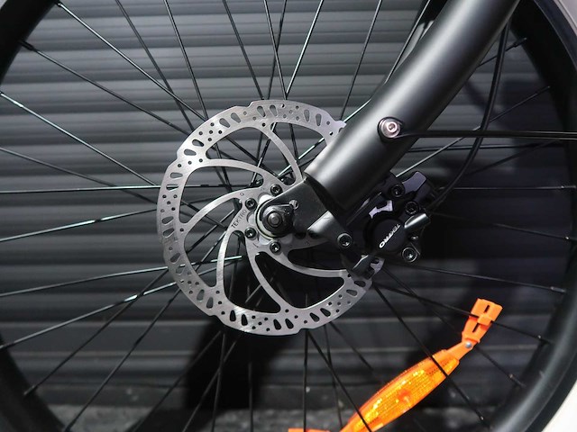 Rayvolt clubman black 36v10ah accu - afbeelding 4 van  19