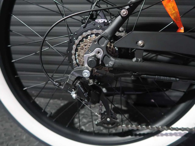 Rayvolt clubman black 36v10ah accu - afbeelding 2 van  13