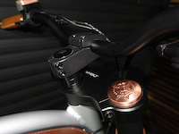 Rayvolt ringo silver 36v16ah accu - afbeelding 5 van  15