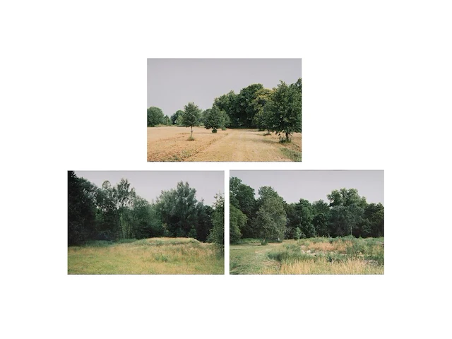 Rebecca wilton (1979), three landscapes (neperstorf - christinenfeld - neues herrenhaus), 2010, c-print, n° 2/5 21.5 x 28.5 cm. (8.46 x 11.22 in.), frame: 27 x 33.5 cm. (10.63 x 13.18 in.) - afbeelding 1 van  9
