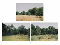 Rebecca wilton (1979), three landscapes (neperstorf - christinenfeld - neues herrenhaus), 2010, c-print, n° 2/5 21.5 x 28.5 cm. (8.46 x 11.22 in.), frame: 27 x 33.5 cm. (10.63 x 13.18 in.)