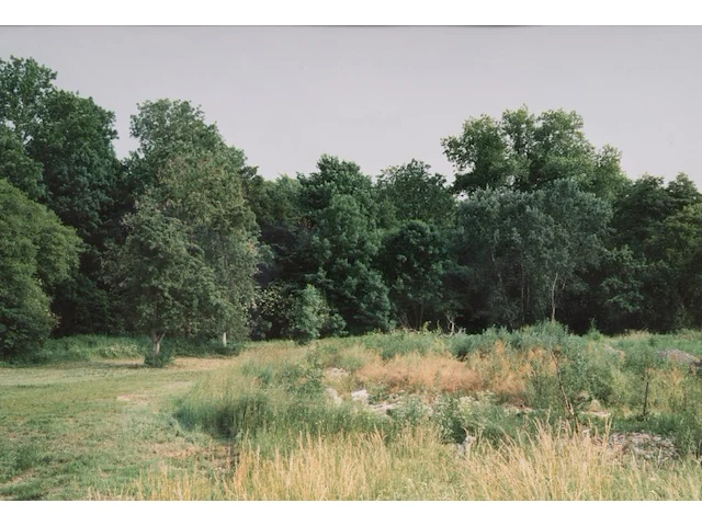 Rebecca wilton (1979), three landscapes (neperstorf - christinenfeld - neues herrenhaus), 2010, c-print, n° 2/5 21.5 x 28.5 cm. (8.46 x 11.22 in.), frame: 27 x 33.5 cm. (10.63 x 13.18 in.) - afbeelding 2 van  9