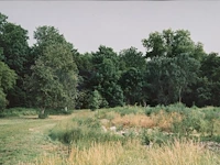 Rebecca wilton (1979), three landscapes (neperstorf - christinenfeld - neues herrenhaus), 2010, c-print, n° 2/5 21.5 x 28.5 cm. (8.46 x 11.22 in.), frame: 27 x 33.5 cm. (10.63 x 13.18 in.) - afbeelding 2 van  9
