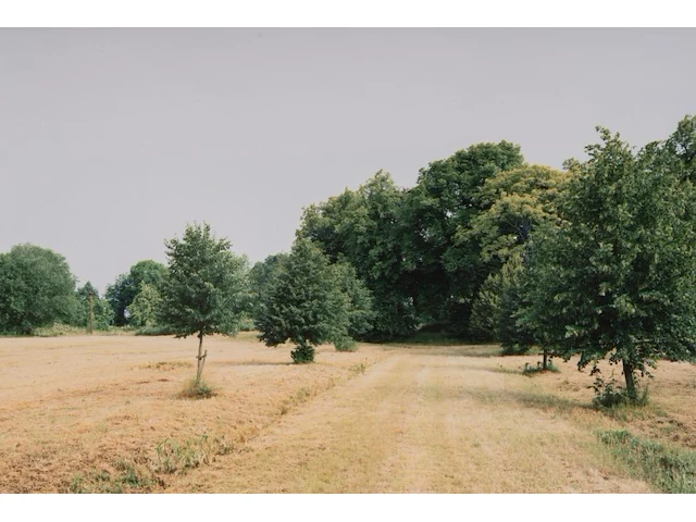 Rebecca wilton (1979), three landscapes (neperstorf - christinenfeld - neues herrenhaus), 2010, c-print, n° 2/5 21.5 x 28.5 cm. (8.46 x 11.22 in.), frame: 27 x 33.5 cm. (10.63 x 13.18 in.) - afbeelding 3 van  9
