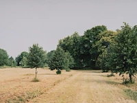 Rebecca wilton (1979), three landscapes (neperstorf - christinenfeld - neues herrenhaus), 2010, c-print, n° 2/5 21.5 x 28.5 cm. (8.46 x 11.22 in.), frame: 27 x 33.5 cm. (10.63 x 13.18 in.) - afbeelding 3 van  9