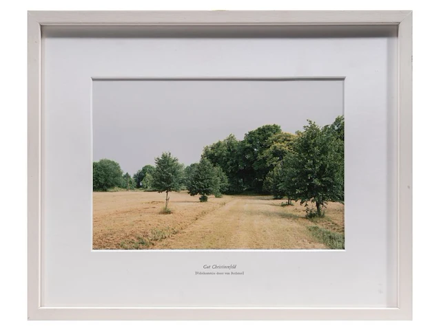 Rebecca wilton (1979), three landscapes (neperstorf - christinenfeld - neues herrenhaus), 2010, c-print, n° 2/5 21.5 x 28.5 cm. (8.46 x 11.22 in.), frame: 27 x 33.5 cm. (10.63 x 13.18 in.) - afbeelding 4 van  9