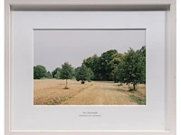 Rebecca wilton (1979), three landscapes (neperstorf - christinenfeld - neues herrenhaus), 2010, c-print, n° 2/5 21.5 x 28.5 cm. (8.46 x 11.22 in.), frame: 27 x 33.5 cm. (10.63 x 13.18 in.) - afbeelding 4 van  9