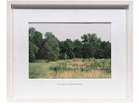Rebecca wilton (1979), three landscapes (neperstorf - christinenfeld - neues herrenhaus), 2010, c-print, n° 2/5 21.5 x 28.5 cm. (8.46 x 11.22 in.), frame: 27 x 33.5 cm. (10.63 x 13.18 in.) - afbeelding 5 van  9