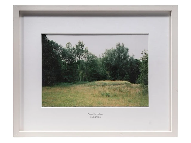 Rebecca wilton (1979), three landscapes (neperstorf - christinenfeld - neues herrenhaus), 2010, c-print, n° 2/5 21.5 x 28.5 cm. (8.46 x 11.22 in.), frame: 27 x 33.5 cm. (10.63 x 13.18 in.) - afbeelding 6 van  9