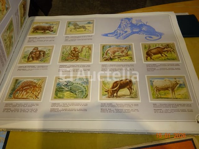 Recensies - afbeelding 16 van  16