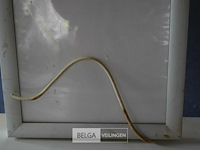 Reclamebord - afbeelding 2 van  2