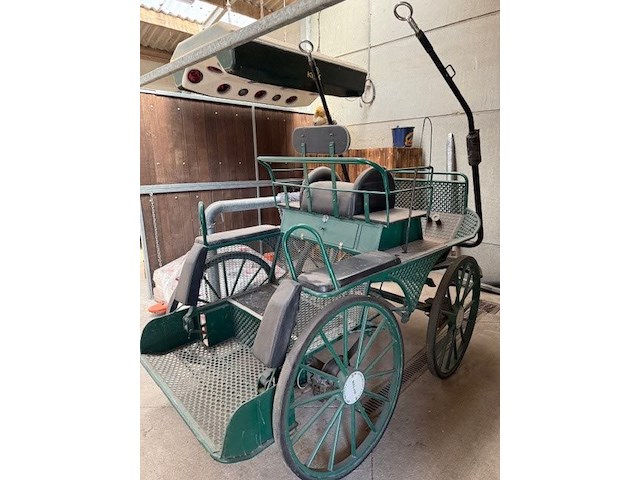 Recreatiekoets - afbeelding 4 van  17