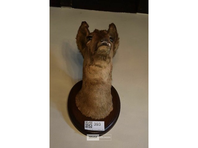 Reebokhoofd op houten schild - afbeelding 2 van  2