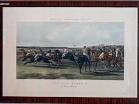Reeks van 3 antieke engelse paardenren-gravures...