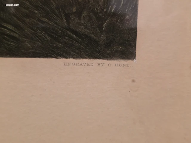 Reeks van 6 antieke engelse kleurengravures - afbeelding 7 van  8