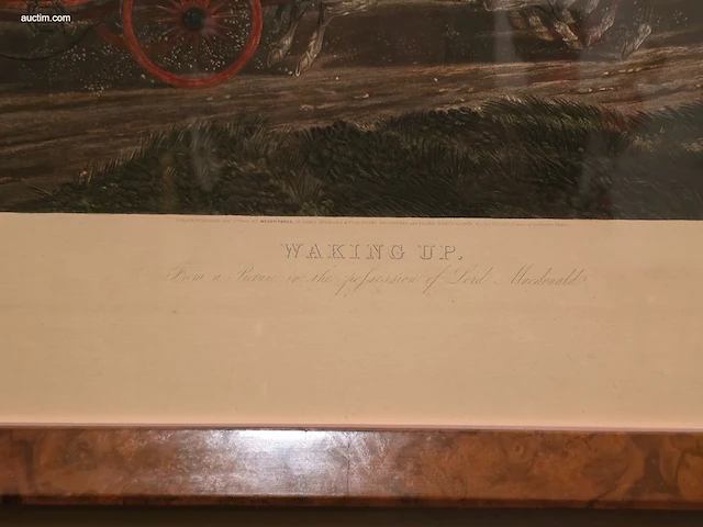Reeks van 6 antieke engelse kleurengravures - afbeelding 8 van  8