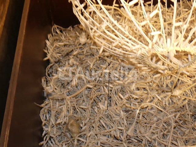 Ref: palette 7 - 60 led gordijnlichtjes - afbeelding 4 van  4