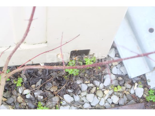 Ref:0273 - geïsoleerde container op de bouwplaats + inhoud - afbeelding 6 van  26