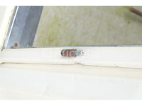 Ref:0273 - geïsoleerde container op de bouwplaats + inhoud - afbeelding 8 van  26