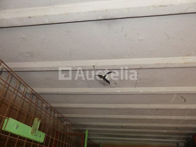 Ref:147 - 20 ft aluminium zeecontainer - afbeelding 6 van  13