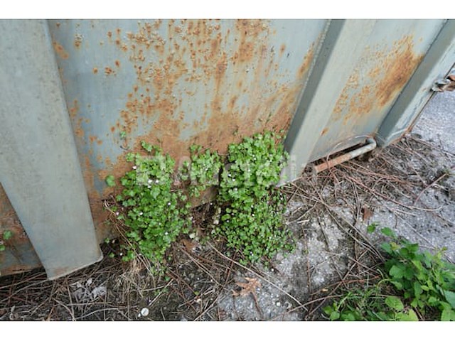 Ref:4 - container met hydraulisch deksel hexagone 2000 - afbeelding 3 van  19