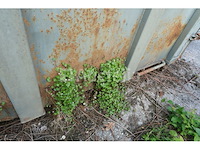 Ref:4 - container met hydraulisch deksel hexagone 2000 - afbeelding 3 van  19