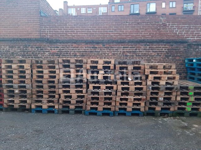Ref:(lot 16) - 50 europallets - afbeelding 1 van  1