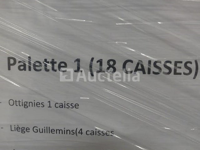 Ref:pallet 1 - 100 verschillende led-lichtsnoeren - afbeelding 2 van  8