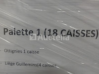 Ref:pallet 1 - 100 verschillende led-lichtsnoeren - afbeelding 2 van  8