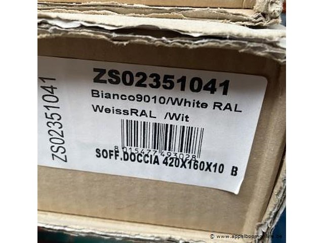 Regendouchekop wit - afbeelding 2 van  2