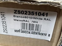 Regendouchekop wit - afbeelding 2 van  2