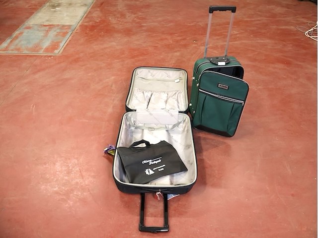 Reiskoffer (x2) - afbeelding 4 van  4