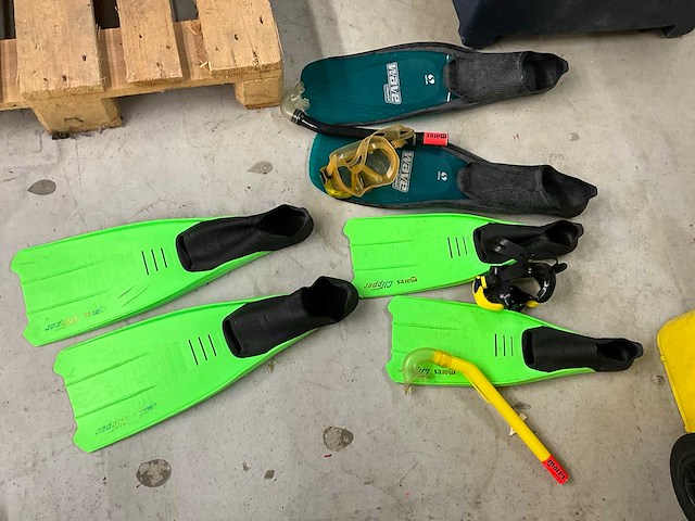 Reiskoffers en zwemvliezen - afbeelding 7 van  11