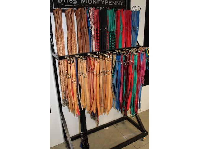 Rek met ±295 hals- en leibanden voor honden - afbeelding 1 van  1