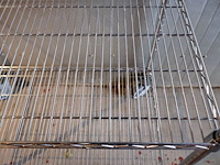 Rek op wielen - afbeelding 4 van  4