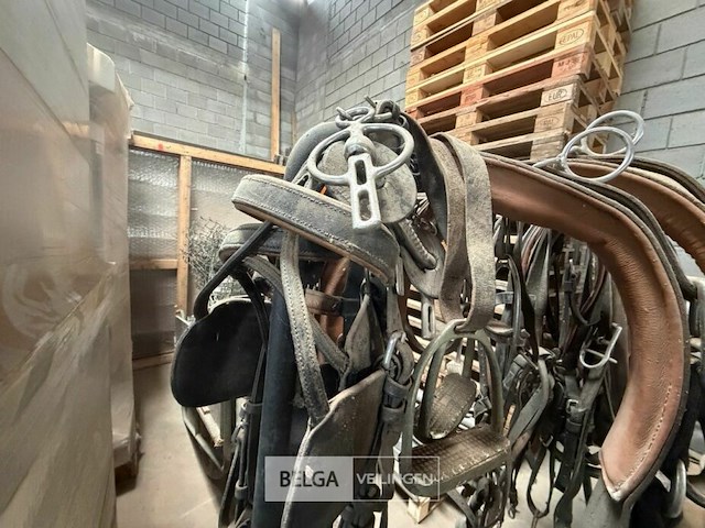 Rek + paardenbenodigdheden - afbeelding 4 van  9