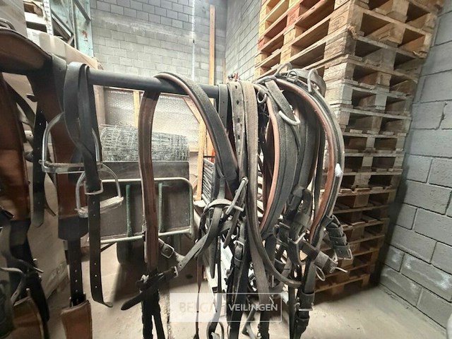 Rek + paardenbenodigdheden - afbeelding 5 van  9