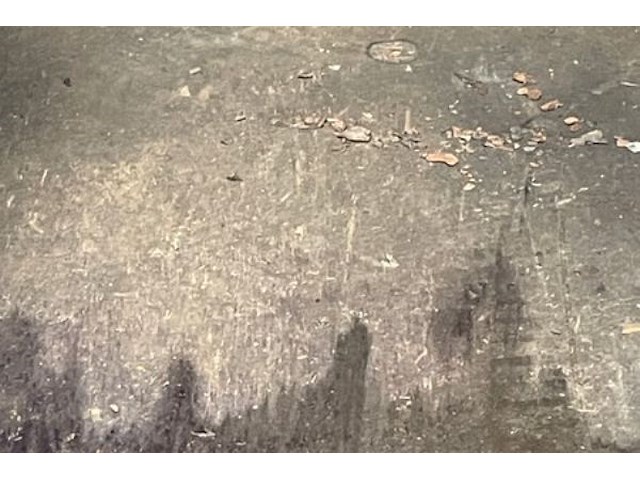 Remorque met laadruimte - afbeelding 5 van  6