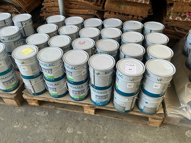 Renaulac carat satin geel 4000ml binnen verf (48x) - afbeelding 4 van  4