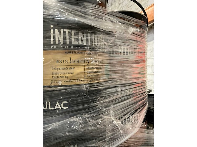 Renaulac/utomhus verf (50x) - afbeelding 1 van  10