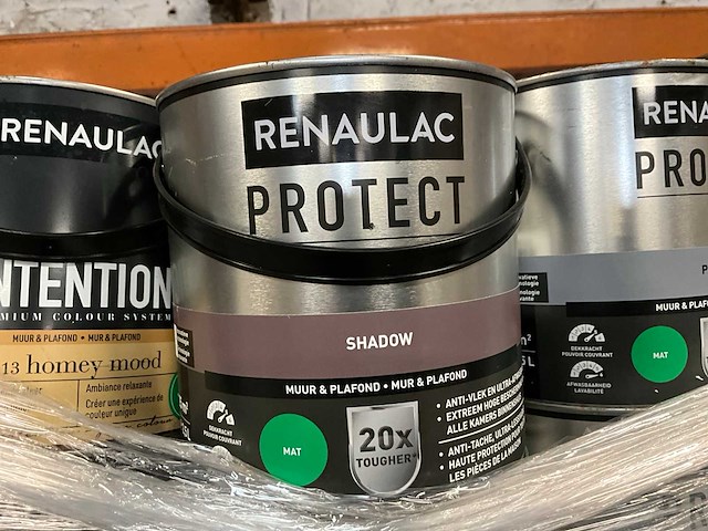 Renaulac/utomhus verf (50x) - afbeelding 8 van  10