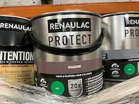 Renaulac/utomhus verf (50x) - afbeelding 8 van  10